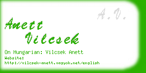 anett vilcsek business card